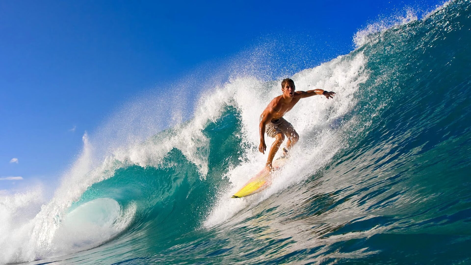 格林伍德凭借精准预判与坚决防守,帮助袋鼠队制胜,格林伍德打什么位置